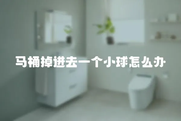 馬桶掉進去一個小球怎么辦