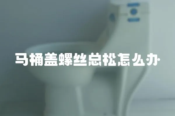 馬桶蓋螺絲總松怎么辦