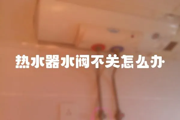 熱水器水閥不關(guān)怎么辦