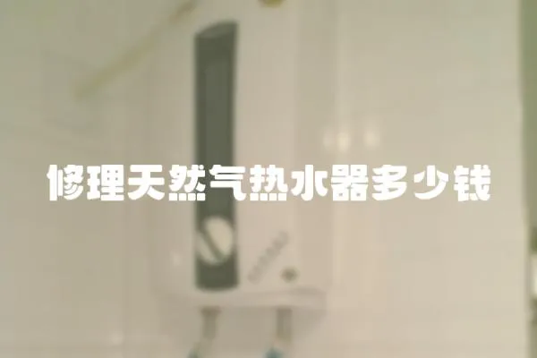 修理天然氣熱水器多少錢