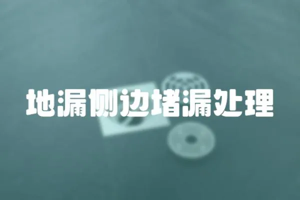 地漏側邊堵漏處理