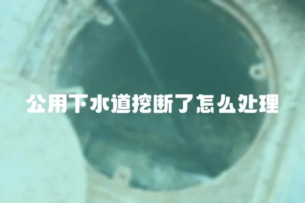 公用下水道挖斷了怎么處理