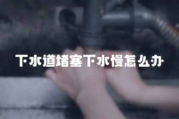 下水道堵塞下水慢怎么辦