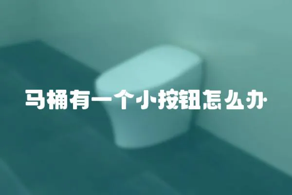 馬桶有一個小按鈕怎么辦