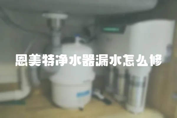 恩美特凈水器漏水怎么修