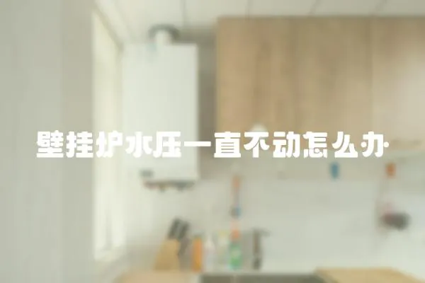 壁掛爐水壓一直不動怎么辦