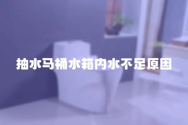 抽水马桶水箱内水不足原因