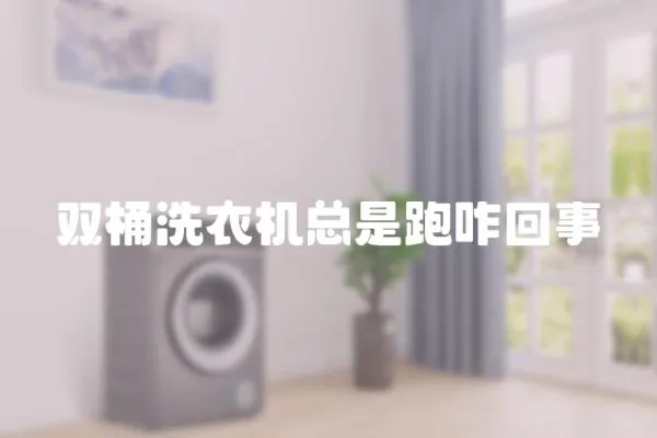 雙桶洗衣機總是跑咋回事