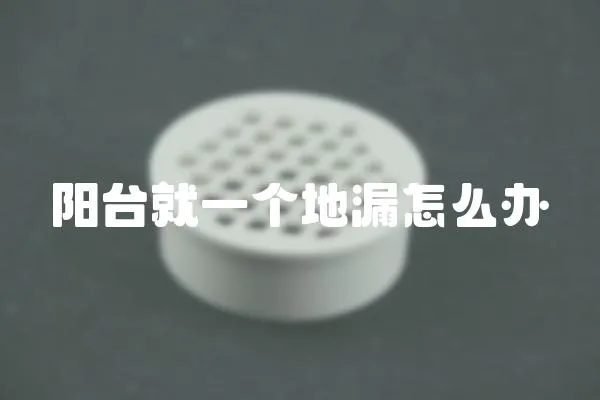陽臺就一個地漏怎么辦