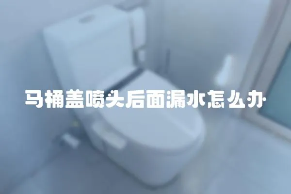 馬桶蓋噴頭后面漏水怎么辦