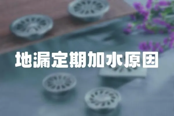 地漏定期加水原因