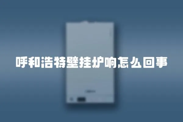 呼和浩特壁掛爐響怎么回事