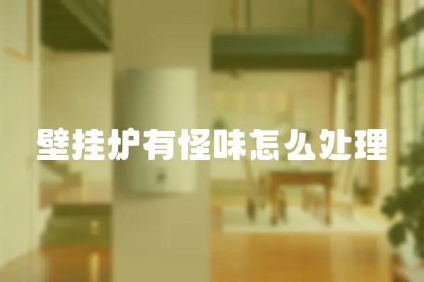 壁掛爐有怪味怎么處理