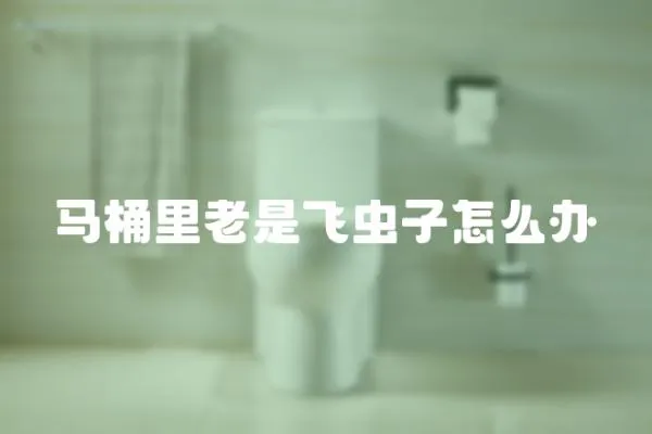 馬桶里老是飛蟲子怎么辦
