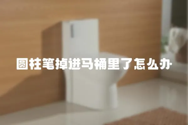 圓柱筆掉進馬桶里了怎么辦