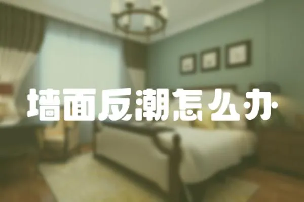 墻面反潮怎么辦
