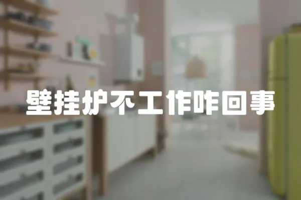 壁掛爐不工作咋回事
