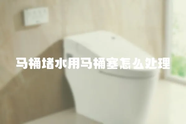 馬桶堵水用馬桶塞怎么處理