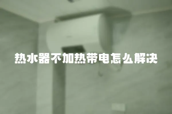 熱水器不加熱帶電怎么解決