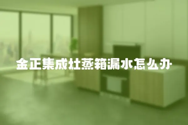 金正集成灶蒸箱漏水怎么辦