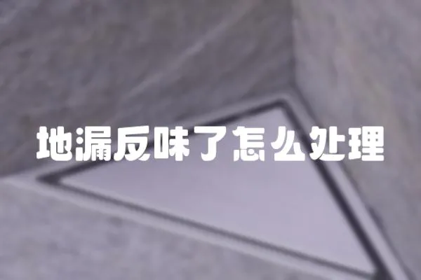 地漏反味了怎么處理