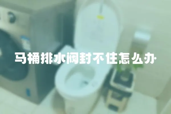 馬桶排水閥封不住怎么辦