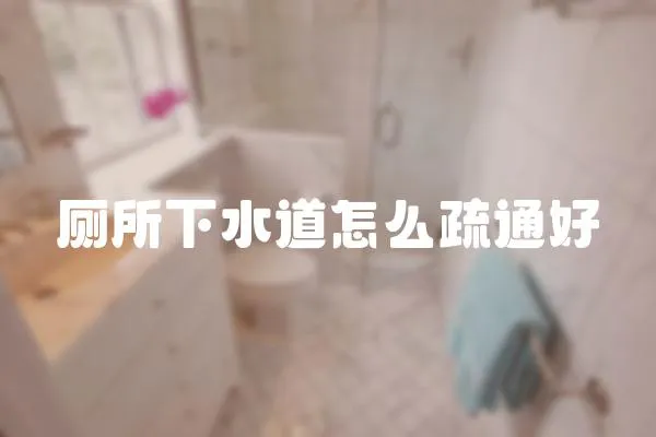 廁所下水道怎么疏通好