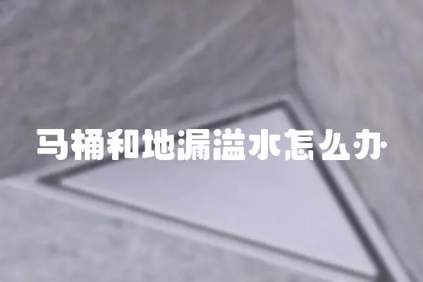 馬桶和地漏溢水怎么辦