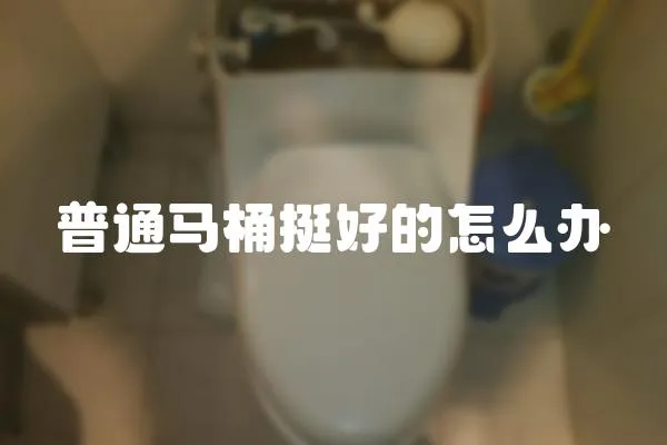 普通馬桶挺好的怎么辦