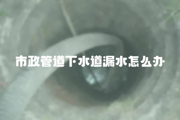 市政管道下水道漏水怎么辦