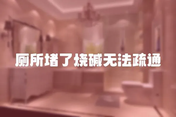 廁所堵了燒堿無法疏通