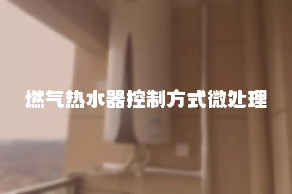燃氣熱水器控制方式微處理