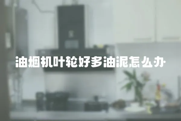 油煙機葉輪好多油泥怎么辦