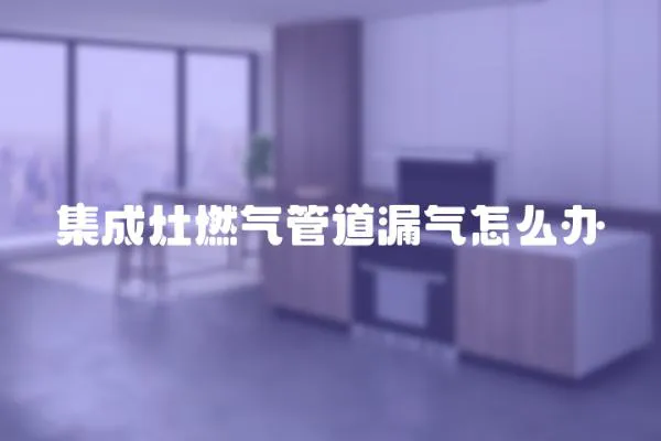 集成灶燃氣管道漏氣怎么辦