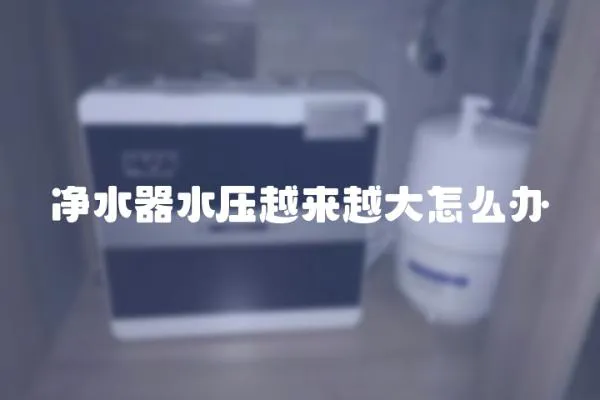 凈水器水壓越來越大怎么辦