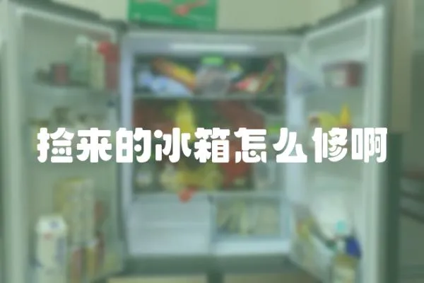 撿來的冰箱怎么修啊