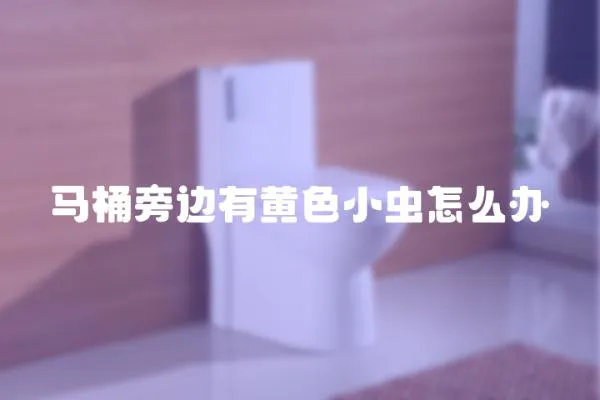 馬桶旁邊有黃色小蟲怎么辦