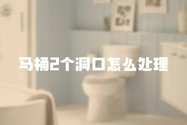 馬桶2個洞口怎么處理