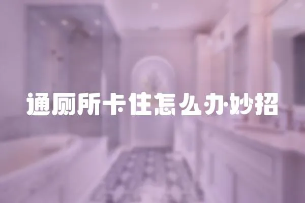 通厕所卡住怎么办妙招