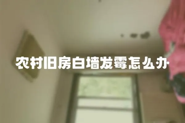 農(nóng)村舊房白墻發(fā)霉怎么辦