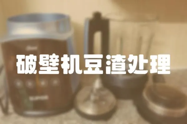 破壁機(jī)豆渣處理