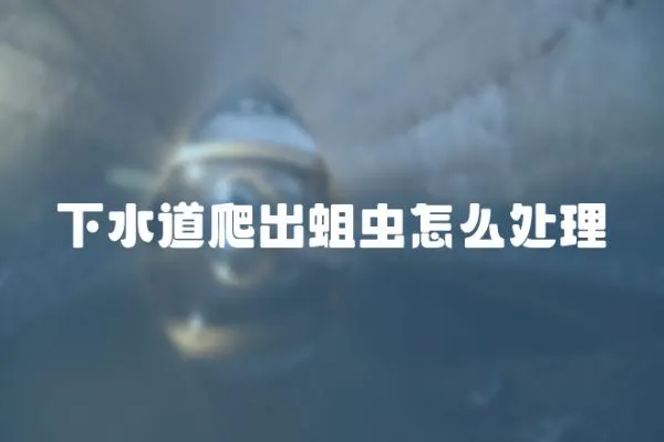 下水道爬出蛆蟲怎么處理