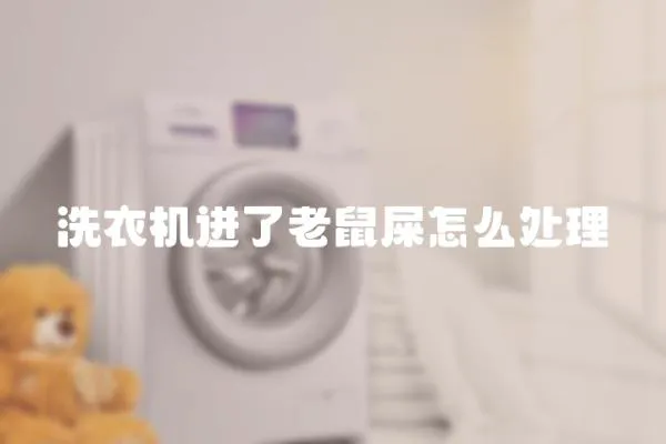 洗衣機進了老鼠屎怎么處理