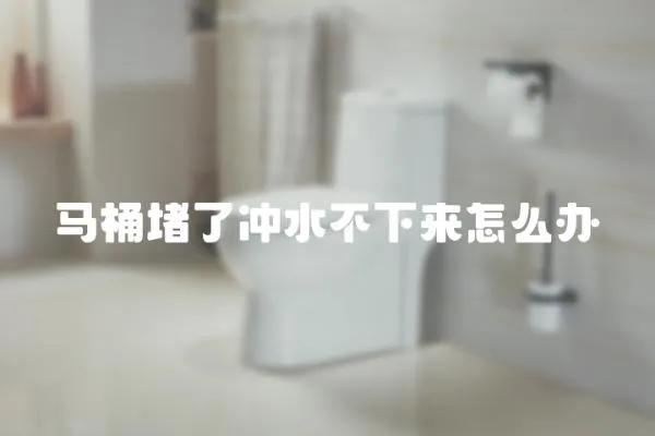 馬桶堵了沖水不下來怎么辦