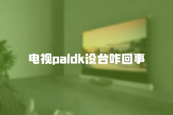 電視paldk沒(méi)臺(tái)咋回事