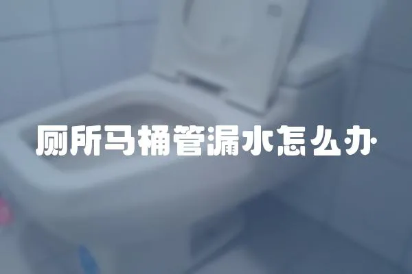 廁所馬桶管漏水怎么辦