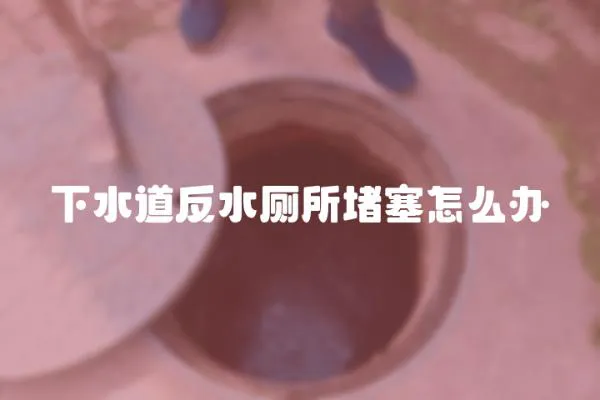 下水道反水廁所堵塞怎么辦