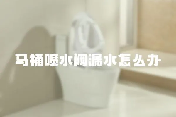 馬桶噴水閥漏水怎么辦
