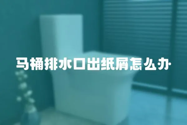 馬桶排水口出紙屑怎么辦