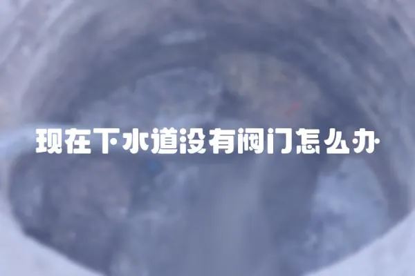 現在下水道沒有閥門怎么辦